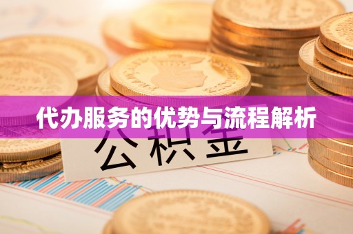 射洪代办服务的优势与流程解析