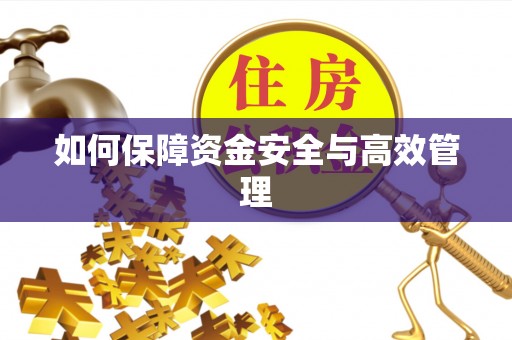 射洪如何保障资金安全与高效管理