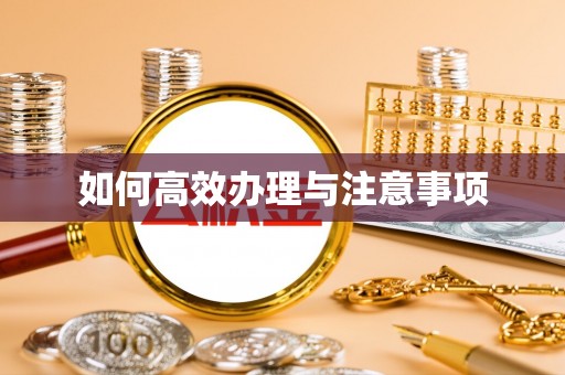 射洪如何高效办理与注意事项