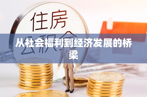 射洪从社会福利到经济发展的桥梁