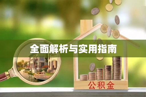 射洪全面解析与实用指南