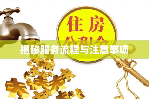 射洪揭秘服务流程与注意事项