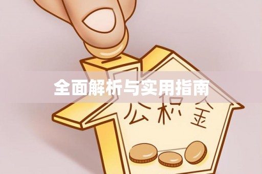 射洪全面解析与实用指南