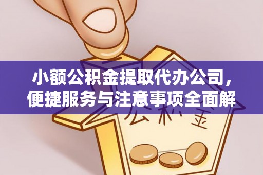 射洪小额公积金提取代办公司，便捷服务与注意事项全面解析