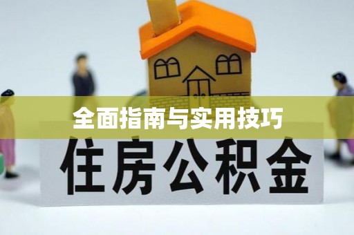 射洪全面指南与实用技巧