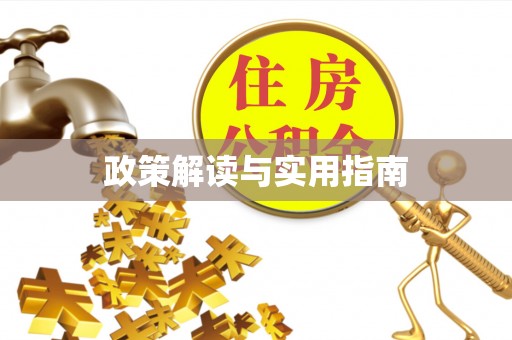 射洪政策解读与实用指南
