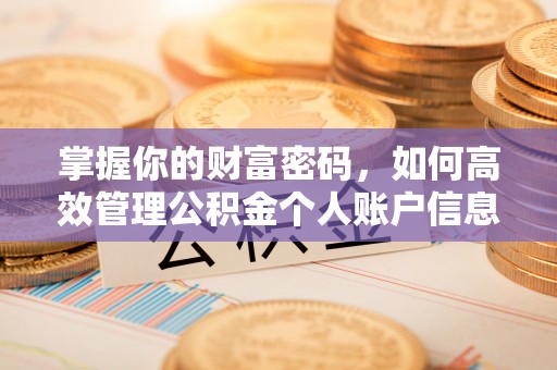 射洪掌握你的财富密码，如何高效管理公积金个人账户信息