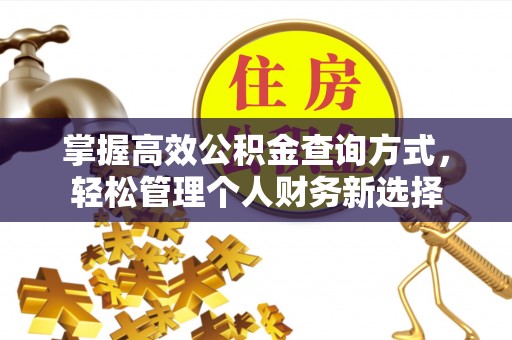 射洪掌握高效公积金查询方式，轻松管理个人财务新选择