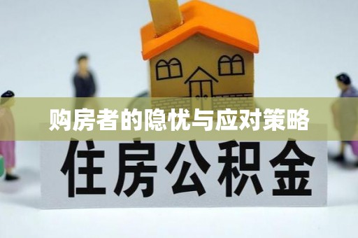 射洪购房者的隐忧与应对策略