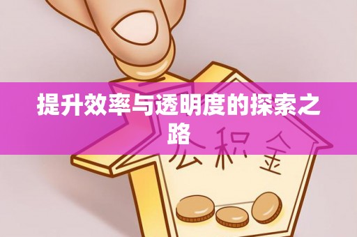 射洪提升效率与透明度的探索之路