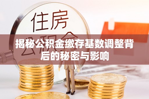射洪揭秘公积金缴存基数调整背后的秘密与影响
