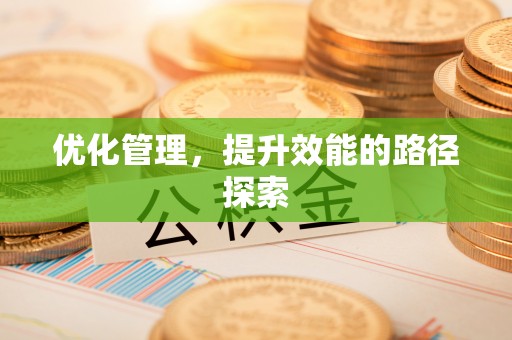 射洪优化管理，提升效能的路径探索