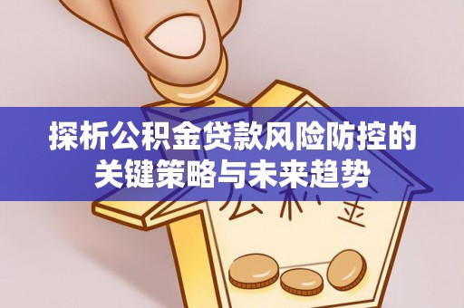 射洪探析公积金贷款风险防控的关键策略与未来趋势
