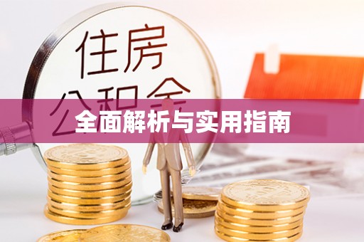 射洪全面解析与实用指南