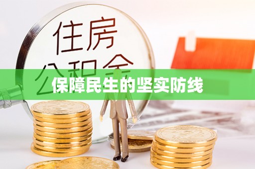 射洪保障民生的坚实防线
