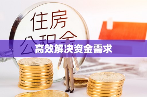 射洪高效解决资金需求