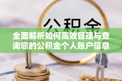 射洪全面解析如何高效管理与查询您的公积金个人账户信息
