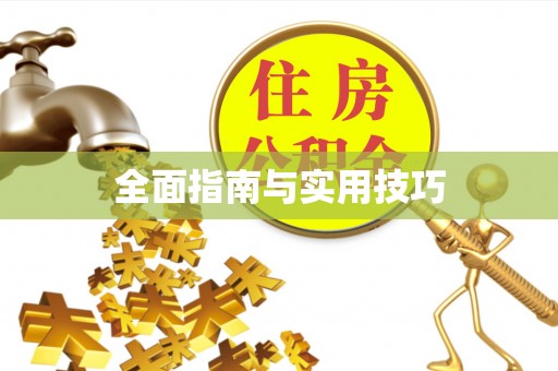 射洪全面指南与实用技巧