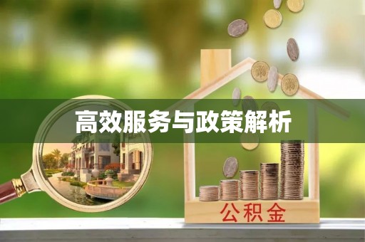射洪高效服务与政策解析