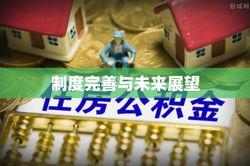射洪制度完善与未来展望