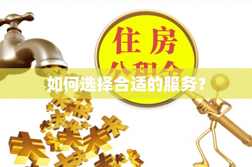 射洪如何选择合适的服务？