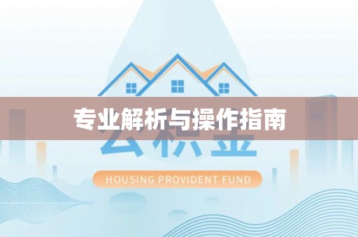 射洪专业解析与操作指南
