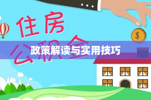 射洪政策解读与实用技巧