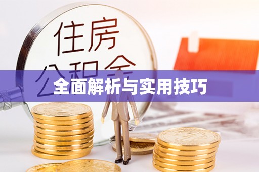 射洪全面解析与实用技巧