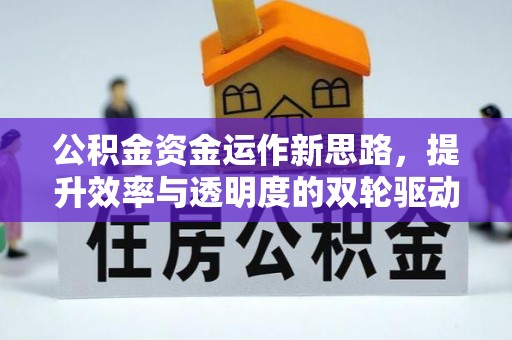 射洪公积金资金运作新思路，提升效率与透明度的双轮驱动