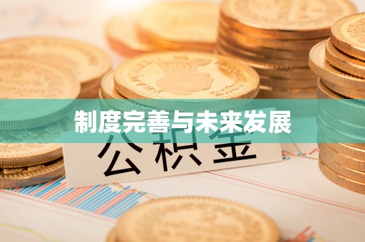 射洪制度完善与未来发展