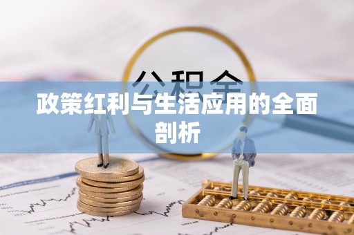射洪政策红利与生活应用的全面剖析