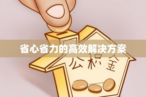 射洪省心省力的高效解决方案
