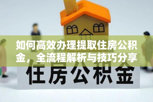 射洪如何高效办理提取住房公积金，全流程解析与技巧分享