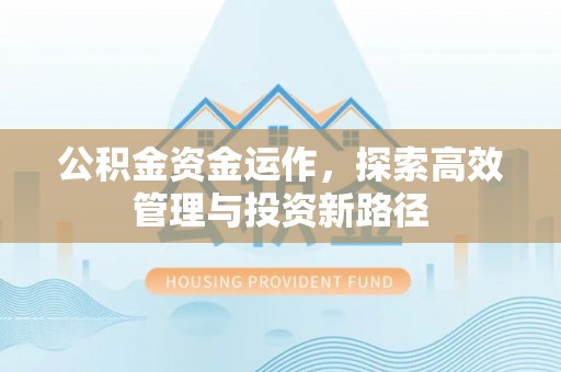 射洪公积金资金运作，探索高效管理与投资新路径