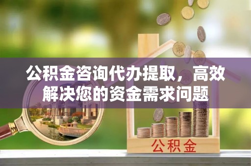 射洪公积金咨询代办提取，高效解决您的资金需求问题