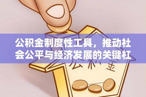 射洪公积金制度性工具，推动社会公平与经济发展的关键杠杆