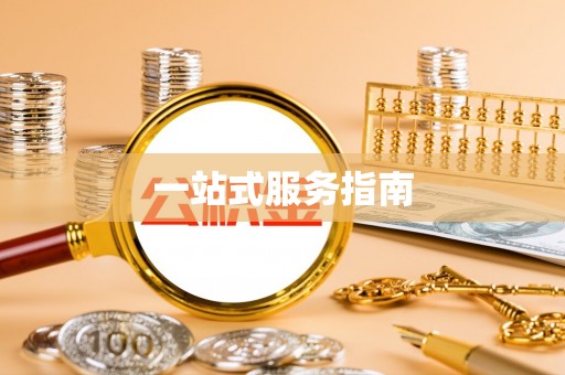 射洪一站式服务指南