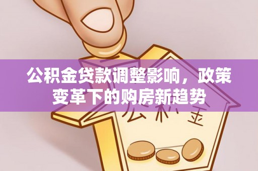 射洪公积金贷款调整影响，政策变革下的购房新趋势