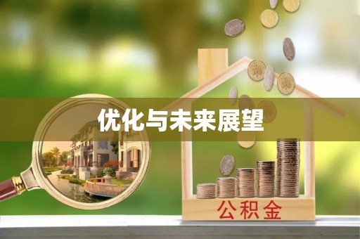 射洪优化与未来展望