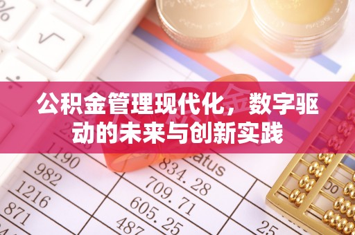 射洪公积金管理现代化，数字驱动的未来与创新实践