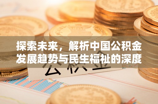 射洪探索未来，解析中国公积金发展趋势与民生福祉的深度融合