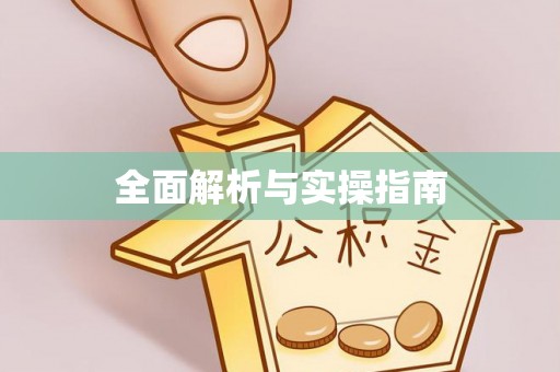 射洪全面解析与实操指南