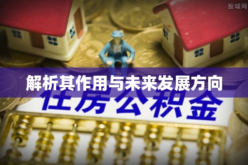 射洪解析其作用与未来发展方向
