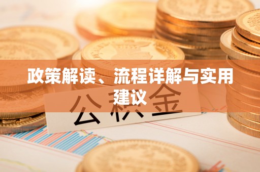射洪政策解读、流程详解与实用建议