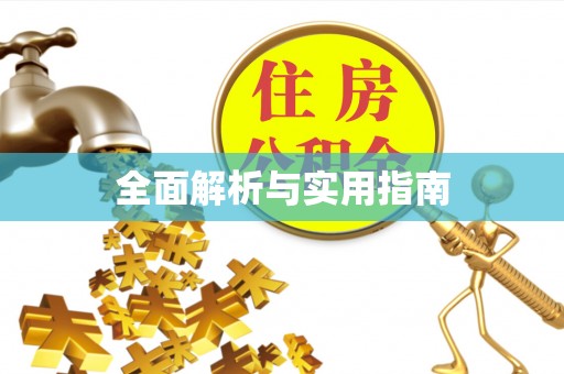 射洪全面解析与实用指南