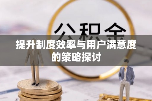 射洪提升制度效率与用户满意度的策略探讨