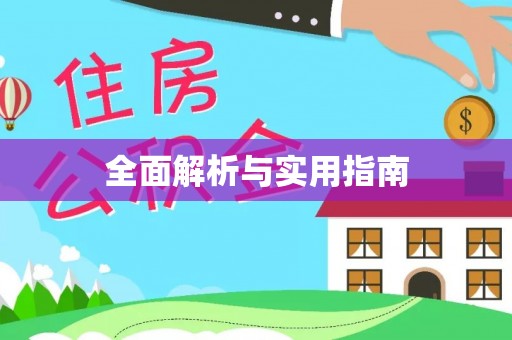 射洪全面解析与实用指南