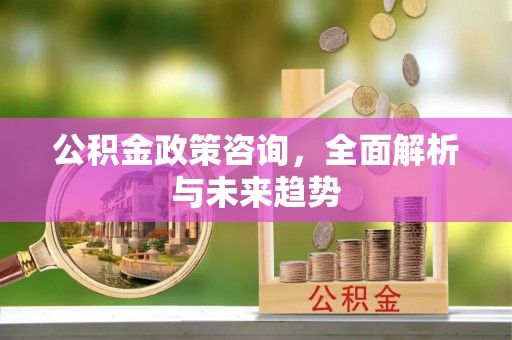 射洪公积金政策咨询，全面解析与未来趋势