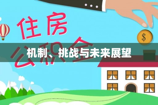 射洪机制、挑战与未来展望